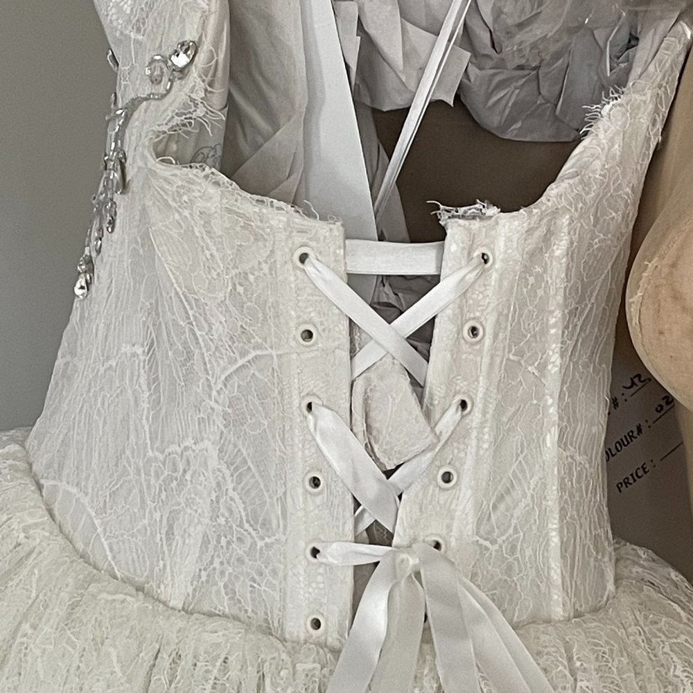 Pnina Tornai Wedding Gown - Picture 9 of 16